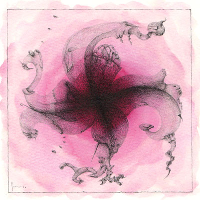 60_Metamorfosi di un fiore