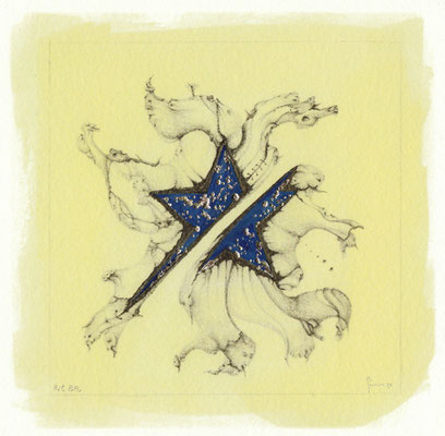 48_Stella_Divisa_Oro_Blu_Rit.