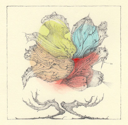15_Fiore