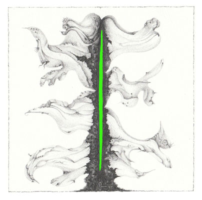 33_Fessura Verde