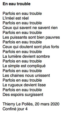 "en eau trouble" auteur : Thierry Le Pollès 