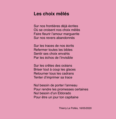 auteur : Thierry Le Pollès