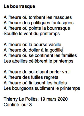 "La bourrasque" auteur : Thierry Le Pollès 