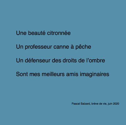 auteur : Pascal Salzard