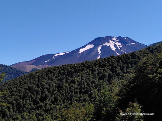 Chile - Reserva Nacional Malalcahuello - Wanderweg Piedra Santa