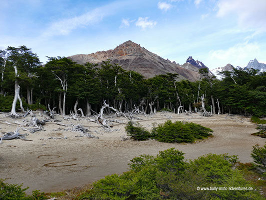 Argentinien - Parque Nacional Los Glaciares - Sendero al Fitz Roy