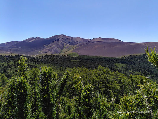 Chile - Reserva Nacional Malalcahuello - Wanderweg Sierra del Colorado