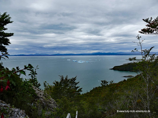 Chile - Parque Nacional Laguna San Rafael - Wanderung zum Aussichtspunkt