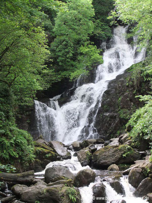 Irland - Torc Wasserfall - Killarney Nationalpark - Co. Kerry