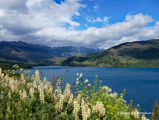 Chile - Parque Nacional Laguna San Rafael - Valle Exploradores - Lago Tranquilo