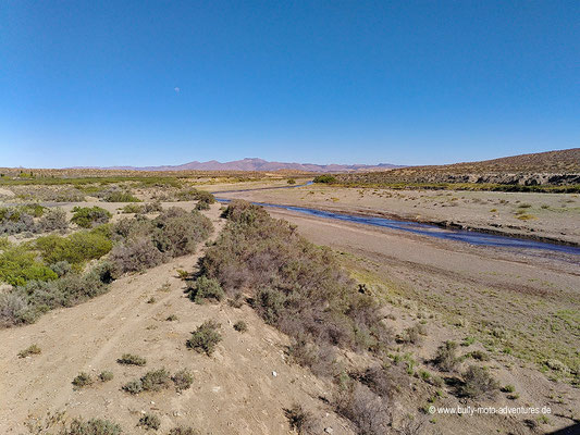 Argentinien - Ruta 40 südlich von Chos Malal