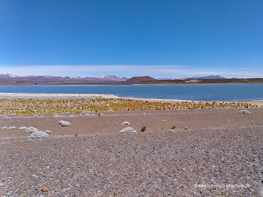 Argentinien - Parque Nacional Laguna Blanca