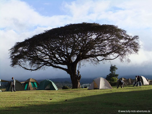 Tansania - Safari-Tour - Simba Campsite (Ngorongoro Krater)