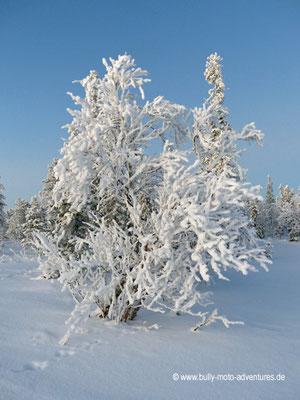 Finnland - Lappland - Auf Schneemobil-Safari - Schöne Winterlandschaft
