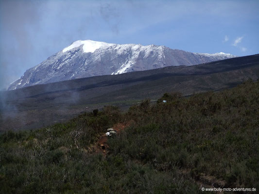 Tansania - Besteigung des Kilimanjaro - Marangu Route - Blick auf den Kibo