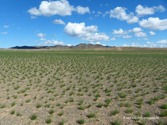 Mongolei - In der Nähe der Sanddüne Khongoryn Els