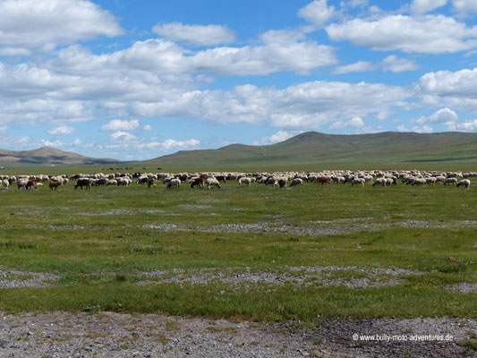 Mongolei - Piste nach Khurjit