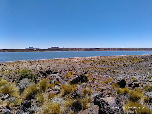 Argentinien - Parque Nacional Laguna Blanca