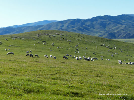 Mongolei - Zelten im Orkhon-Tal
