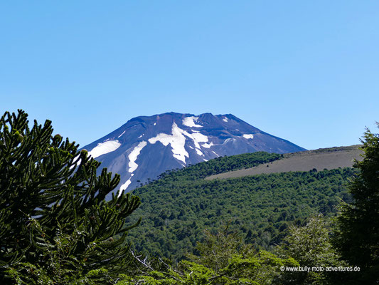 Chile - Reserva Nacional Malalcahuello - Wanderweg Piedra Santa