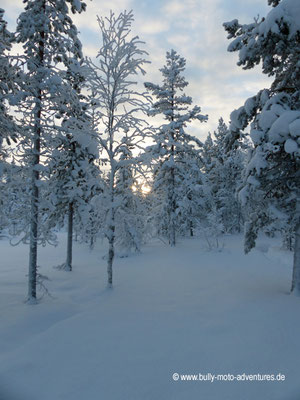 Finnland - Lappland - Auf Husky-Safari - Schöne Winterlandschaft