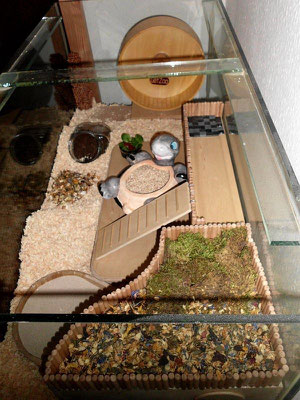 Einrichtung Hamsterbacken Com