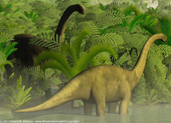 Cetiosaurus graze on ferns and cycads on the Brent delta between Norway and Scotland during the Bajocian, 170 million years ago.