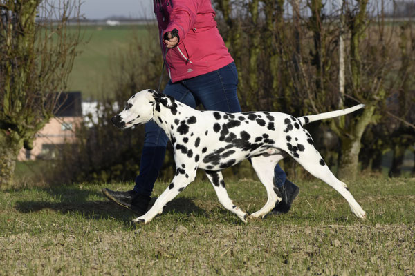 A Spottified Young Loki, 9 Months