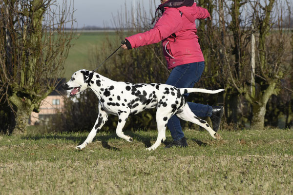 A Spottified Young Loki, 9 Months