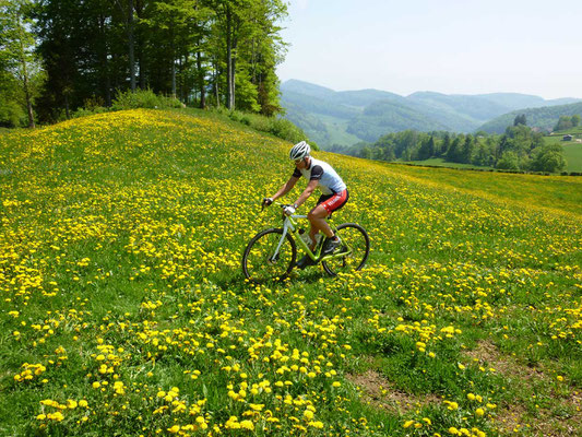 Mit dem Gravelbike Trek Boone unterwegs im Baselland