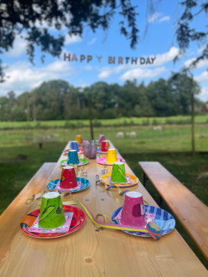 Eingedeckter Tisch für einen Kindergeburtstag mit Alpakas in Hintergrund