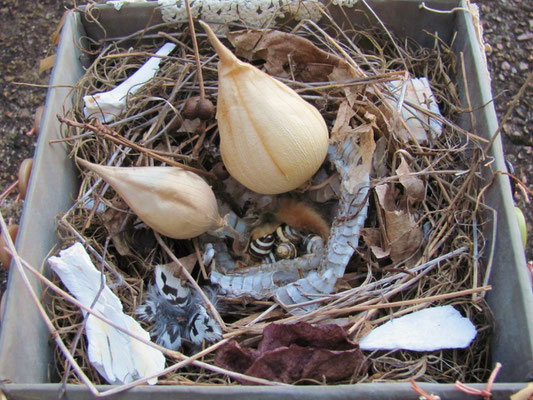 Night Hens. Interior Detail.