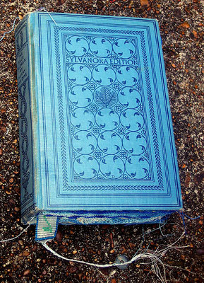 The Blue Flower. Exterior View.