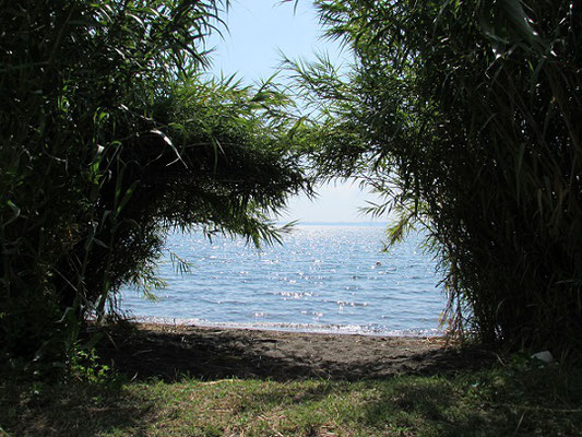 Seeaussichten vom Wanderweg entlang des Sees nach Bolsena (Ca. 20 Minuten)