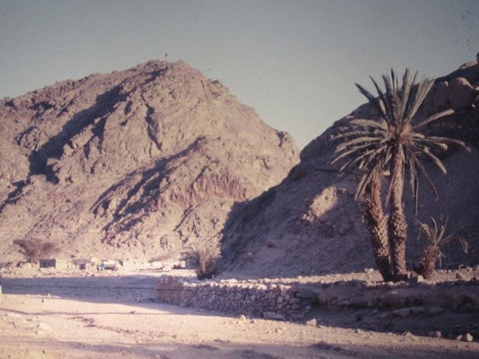 Eine der besuchten Oasen in der Wüste