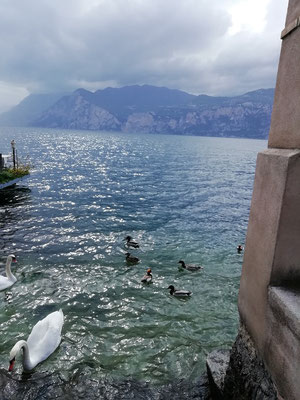 Am Lago del Garda angekommen