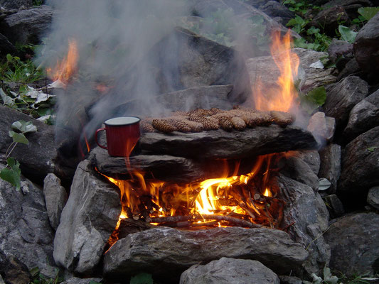 Backofen