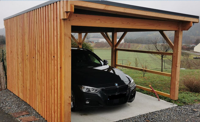 Pariou 6mx3m standard avec habillage planches mélèze