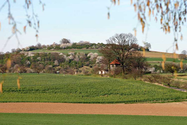 Blick auf Wasserhaus und Faulenberg