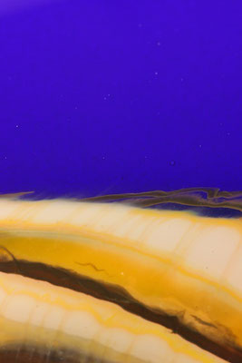Cobalt Strata Detail