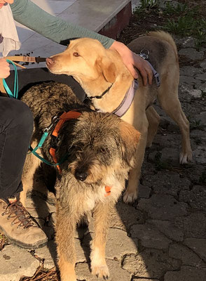 Trudy und Feliz