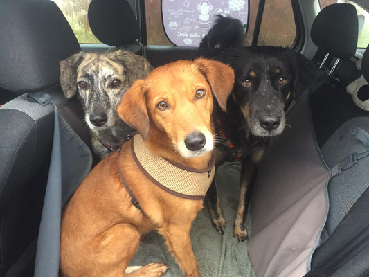 Yildiz, Valentina und Linus