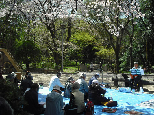 【お花見交流会】