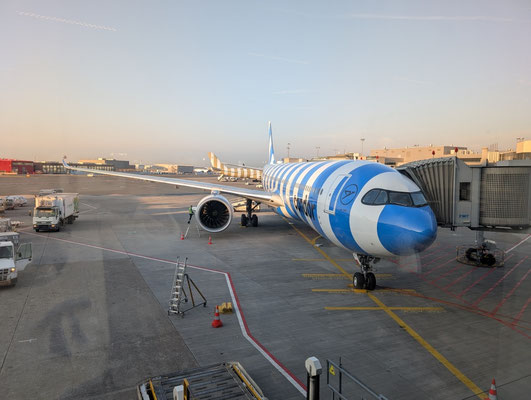 Condor-Maschine (A320neo) am Gate