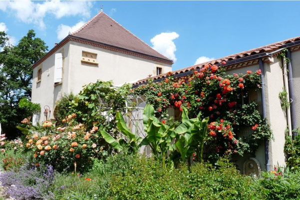 Le jardin luxuriant