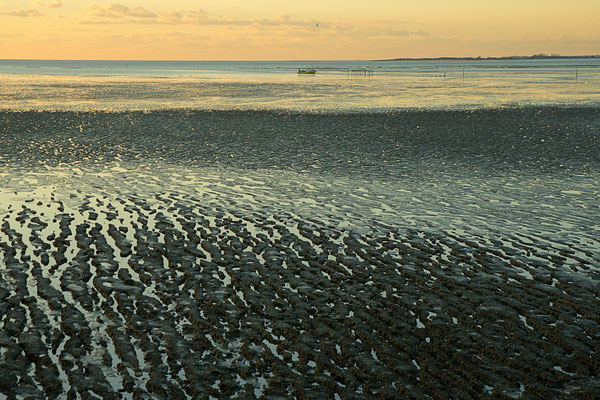 Marée basse, Charente-Maritime