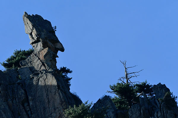 Visage de pierre, Corse