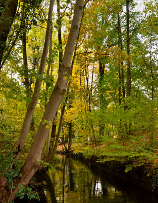 La Fecht, Alsace