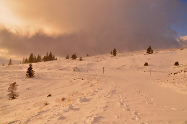 Montagne de Lure