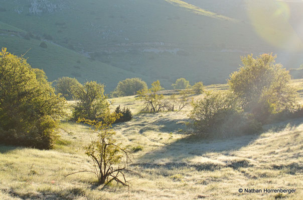 Paysage gelé (juin, 1600 m., Galicica)